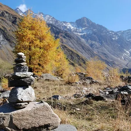 ホテル Tenne Reckingen